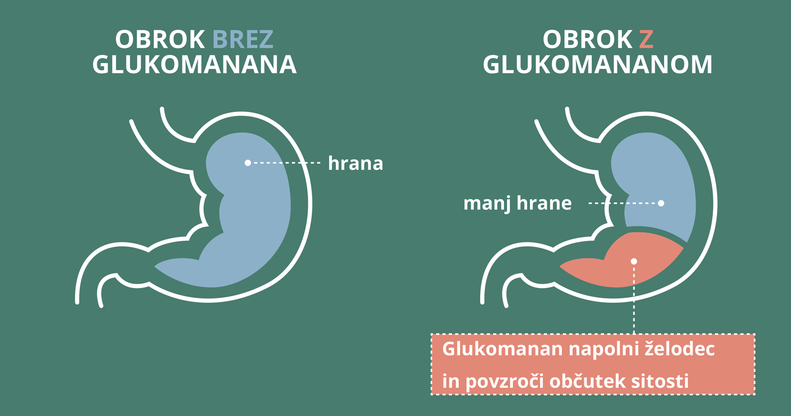 Glukomannan - Kako deluje?